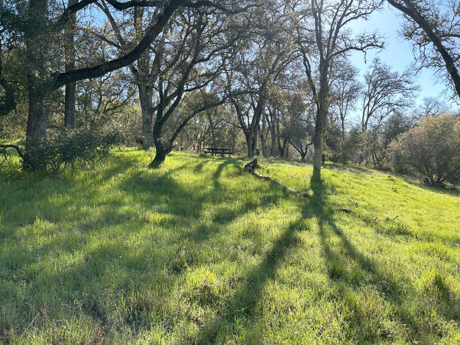 Summer Creek Court, Shingle Springs, California image 7