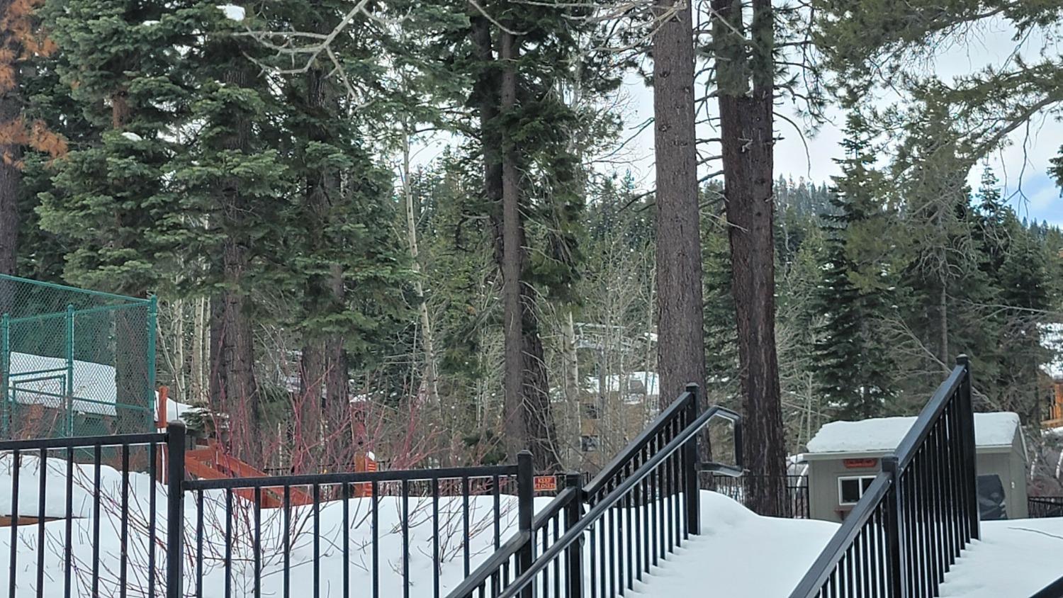 Detail Gallery Image 46 of 48 For 6138 Feather Rdgs, Truckee,  CA 96161 - 2 Beds | 2 Baths
