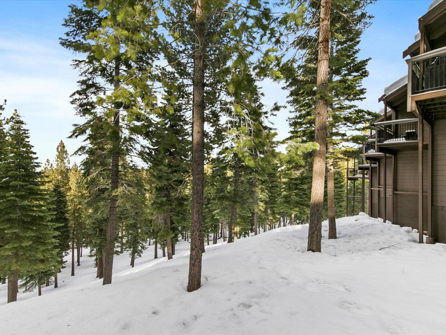 Detail Gallery Image 48 of 48 For 6138 Feather Rdgs, Truckee,  CA 96161 - 2 Beds | 2 Baths