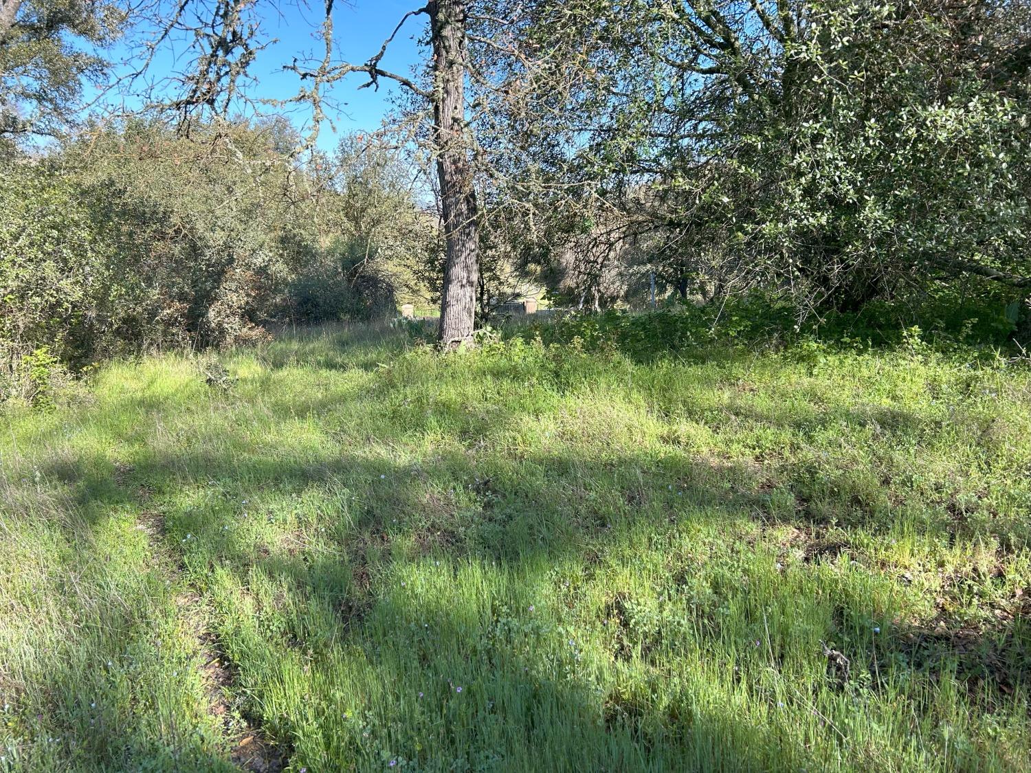 Summer Creek Court, Shingle Springs, California image 3