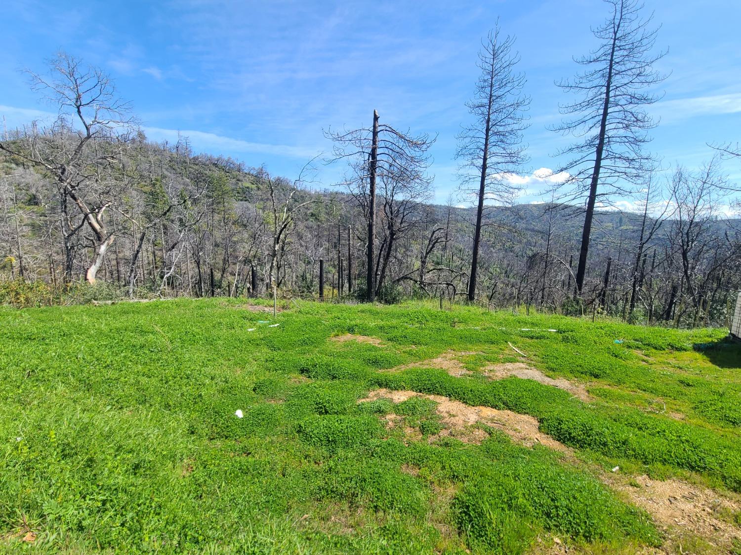 E Little Ridge Road, Berry Creek, California image 3