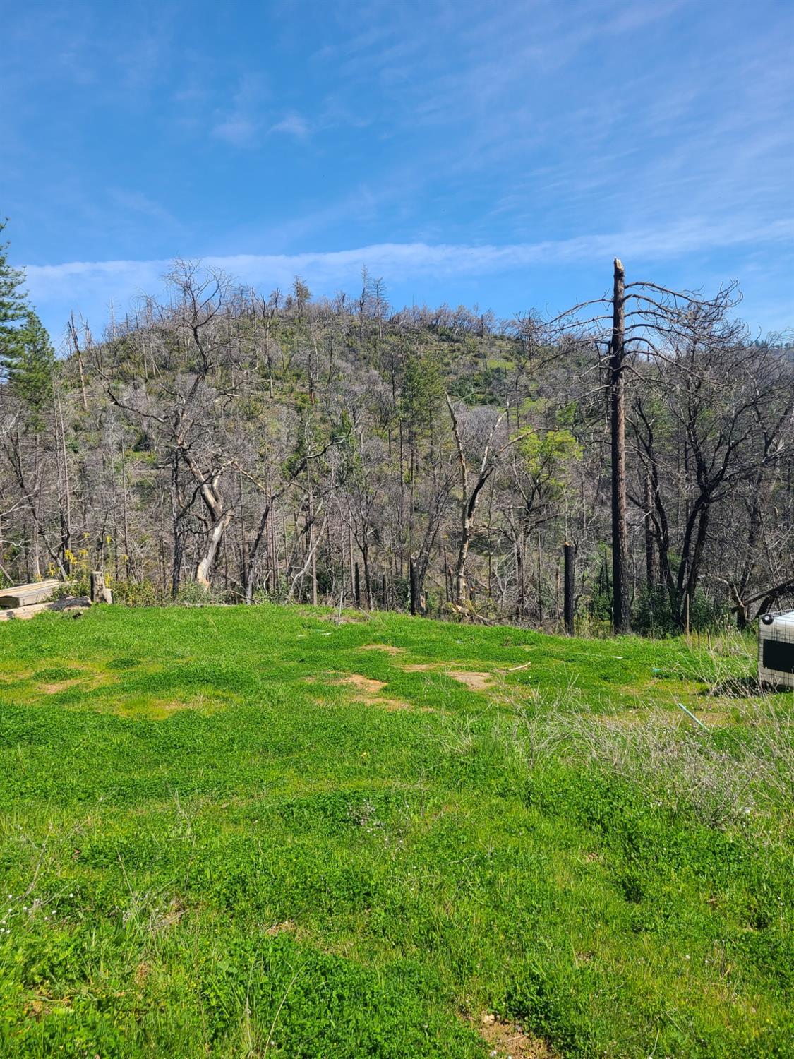 E Little Ridge Road, Berry Creek, California image 2