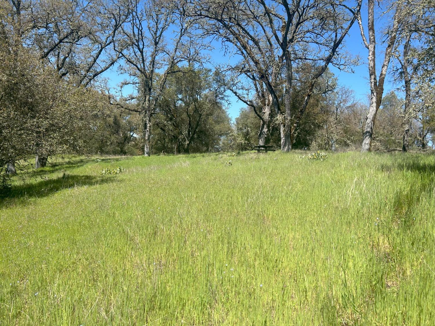 Summer Creek Court, Shingle Springs, California image 11