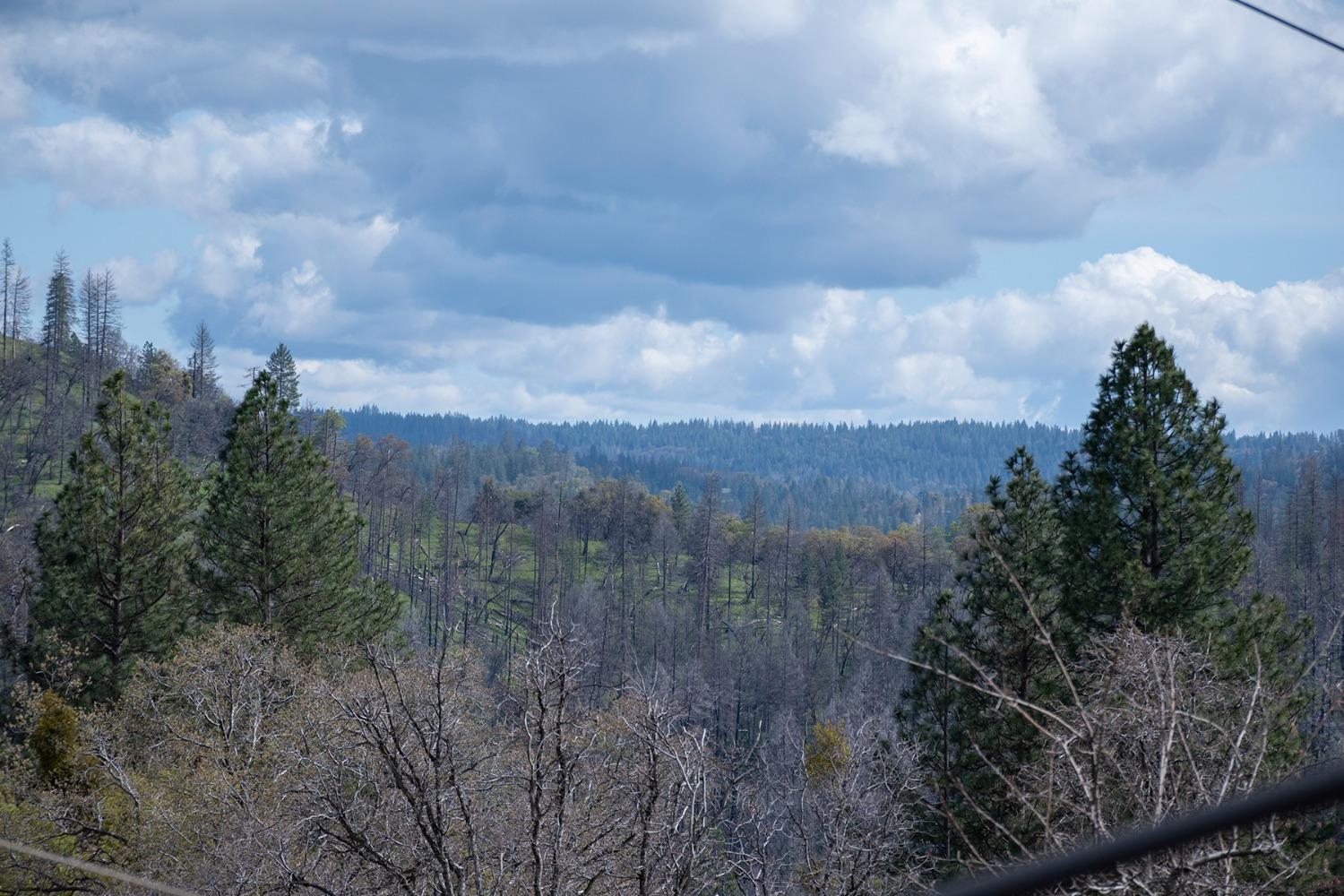 Detail Gallery Image 86 of 93 For 2344 Four Springs Trl, Placerville,  CA 95667 - 3 Beds | 2 Baths