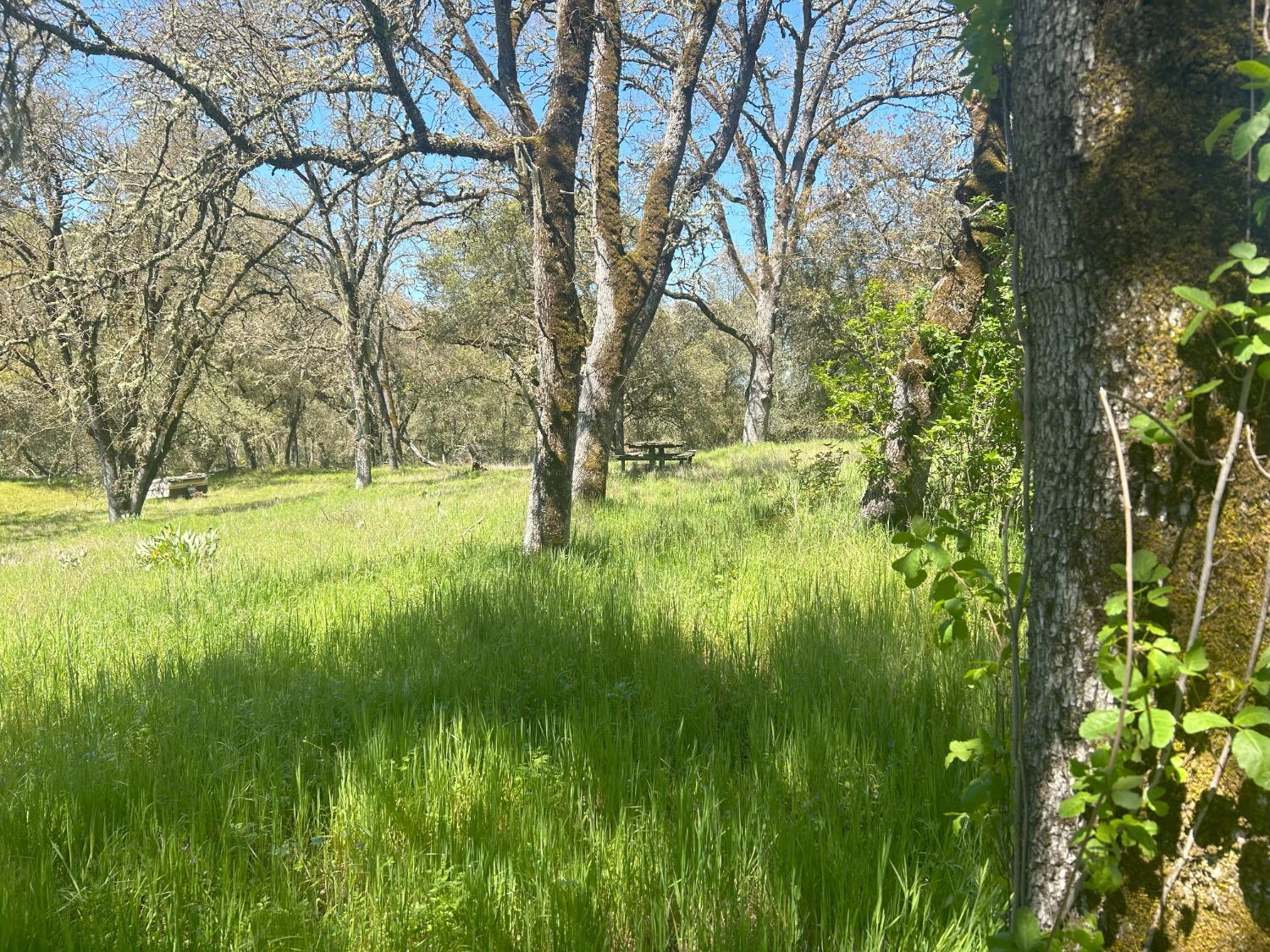 Summer Creek Court, Shingle Springs, California image 9