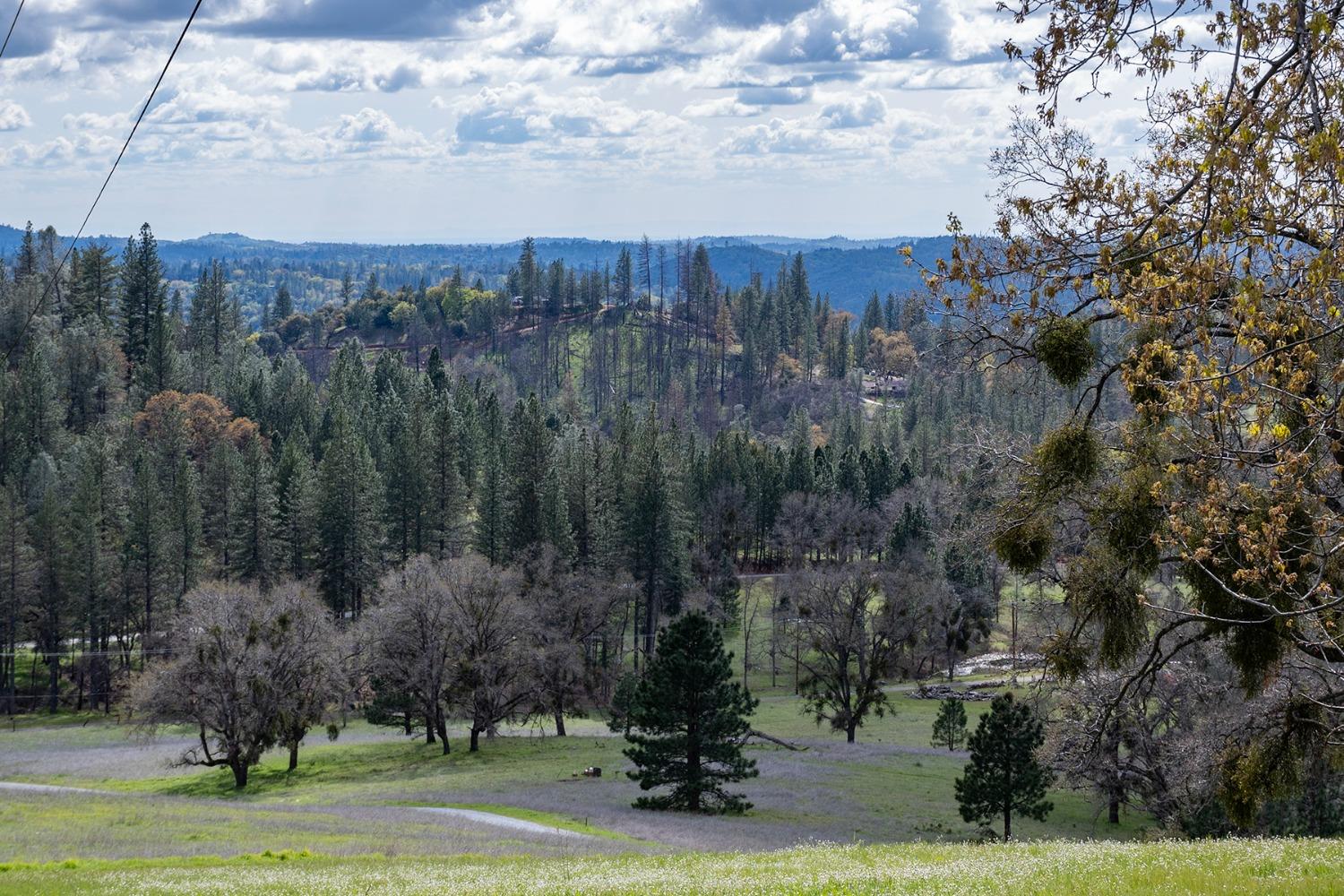 Detail Gallery Image 88 of 93 For 2344 Four Springs Trl, Placerville,  CA 95667 - 3 Beds | 2 Baths