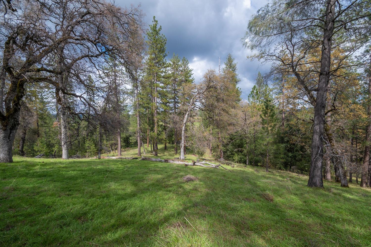 Detail Gallery Image 78 of 93 For 2344 Four Springs Trl, Placerville,  CA 95667 - 3 Beds | 2 Baths