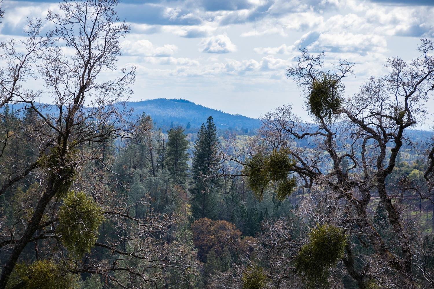 Detail Gallery Image 85 of 93 For 2344 Four Springs Trl, Placerville,  CA 95667 - 3 Beds | 2 Baths