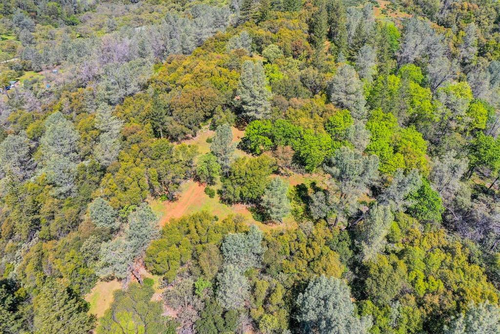 40 Acres - Five Oaks Way, Greenwood, California image 35