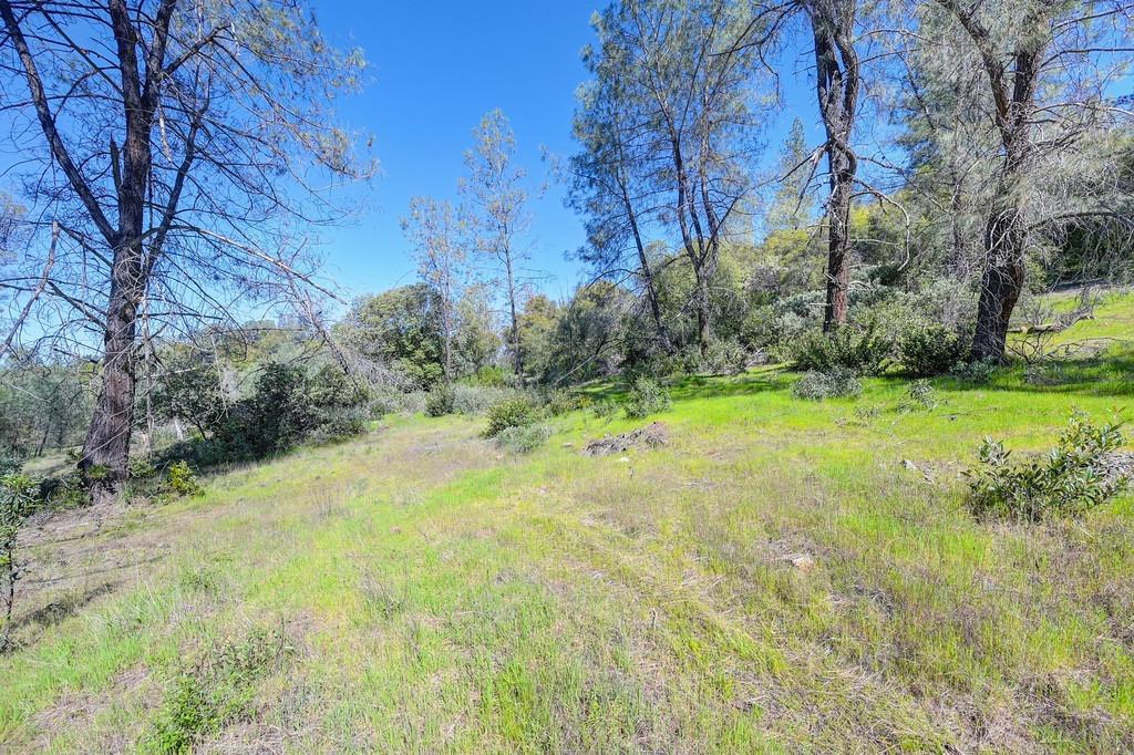 Detail Gallery Image 31 of 55 For 0 40 Acres - Five Oaks Way, Greenwood,  CA 95635 - – Beds | – Baths