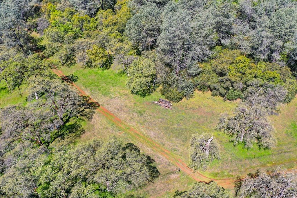 40 Acres - Five Oaks Way, Greenwood, California image 33