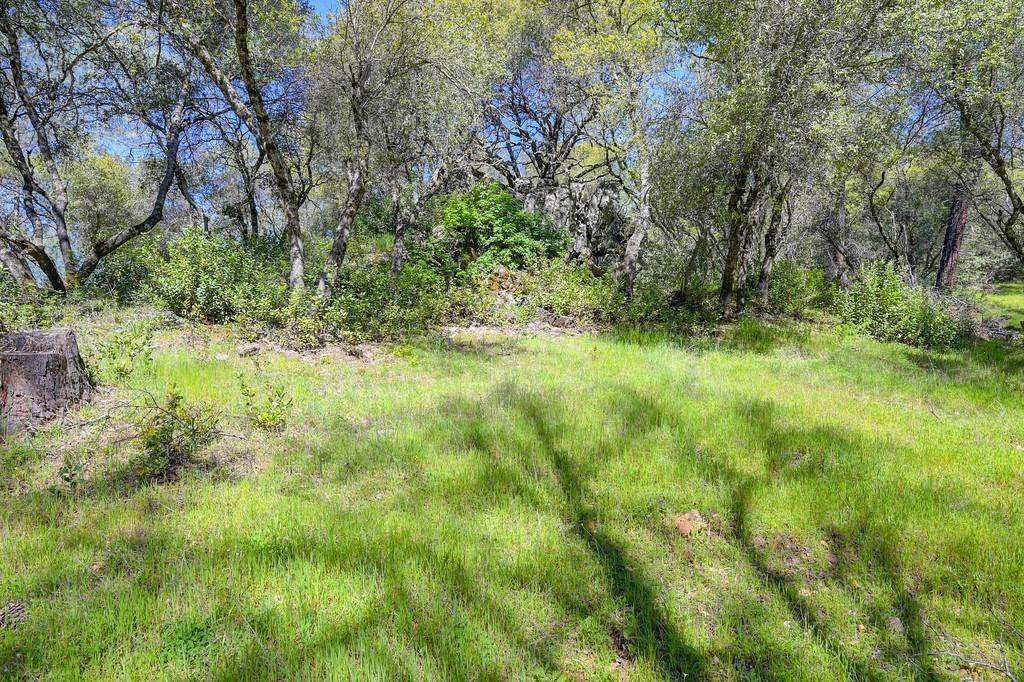 40 Acres - Five Oaks Way, Greenwood, California image 8