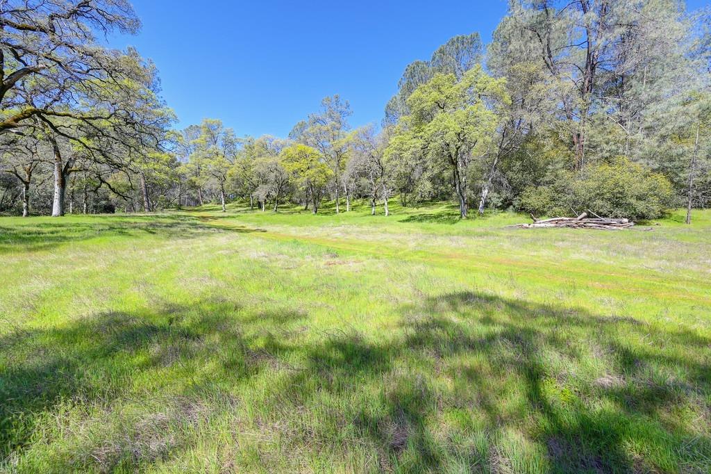 Photo of 40 Acres - Five Oaks Wy in Greenwood, CA