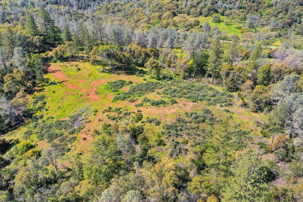 40 Acres - Five Oaks Way, Greenwood, California image 38