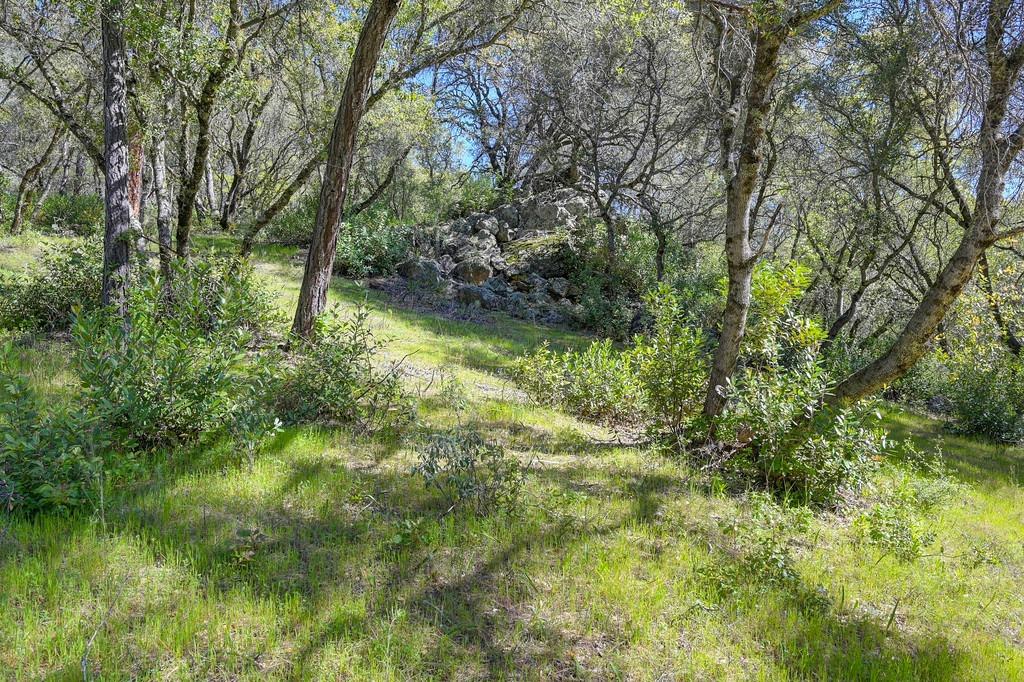 40 Acres - Five Oaks Way, Greenwood, California image 13