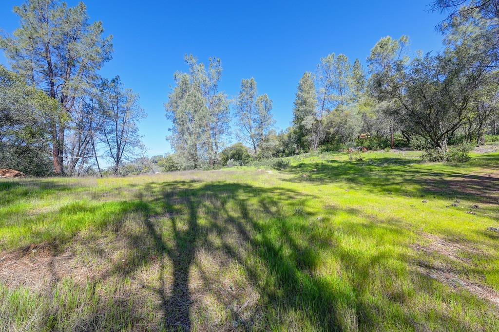 40 Acres - Five Oaks Way, Greenwood, California image 26