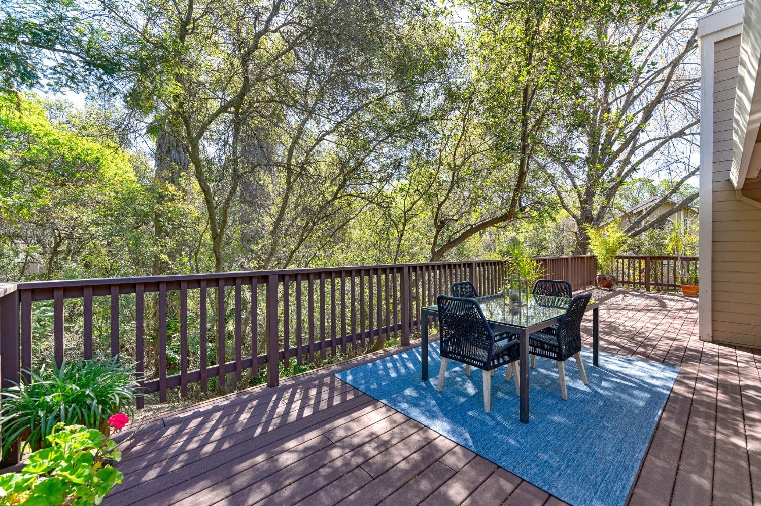 Detail Gallery Image 46 of 50 For 250 Winding Canyon Ln, Folsom,  CA 95630 - 3 Beds | 2 Baths