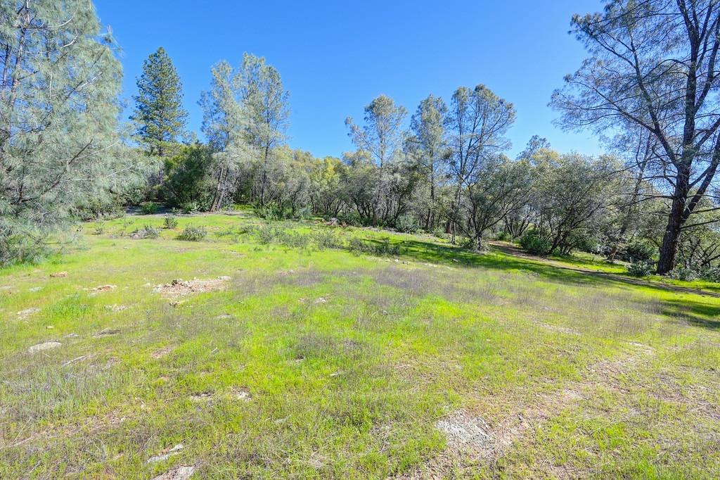 Detail Gallery Image 29 of 55 For 0 40 Acres - Five Oaks Way, Greenwood,  CA 95635 - – Beds | – Baths