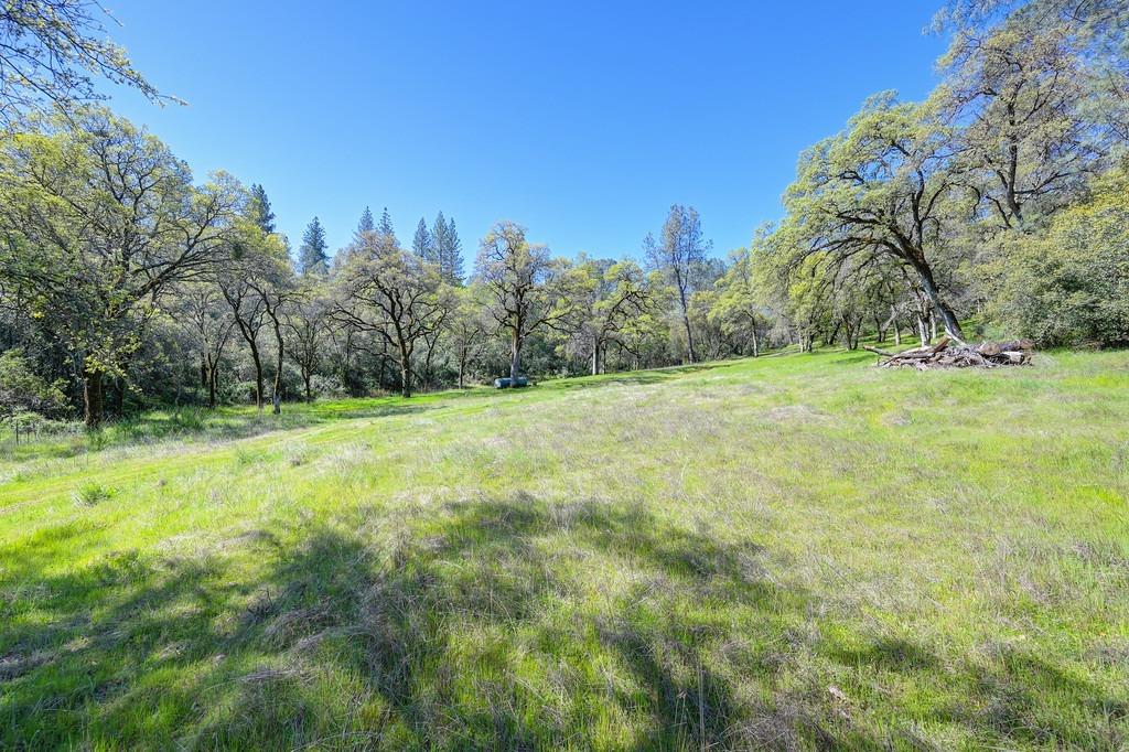 40 Acres - Five Oaks Way, Greenwood, California image 3