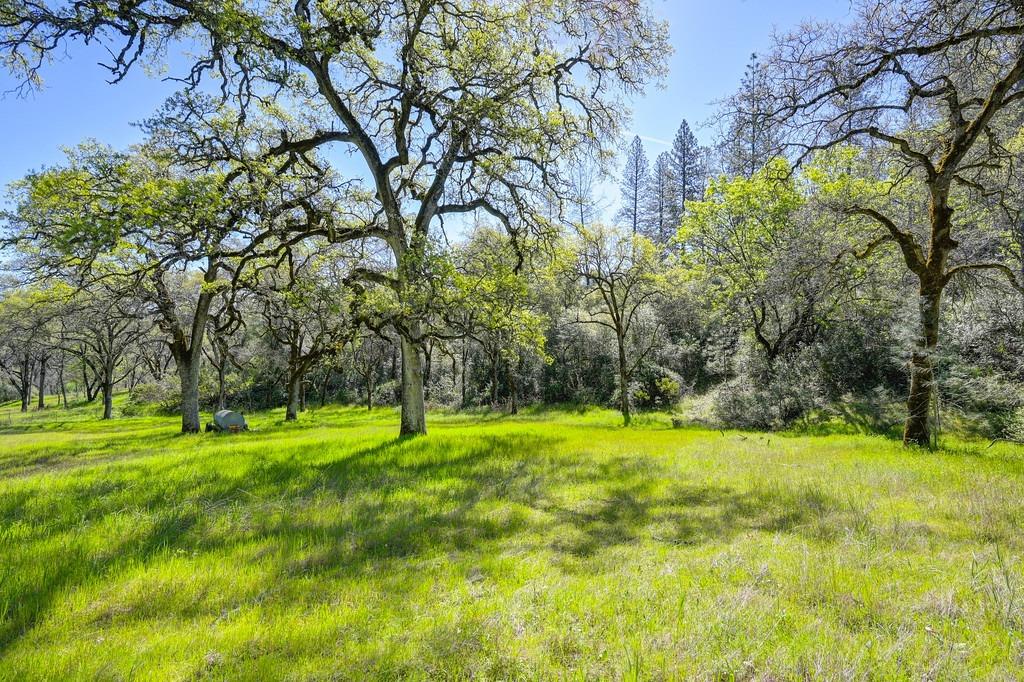 Detail Gallery Image 5 of 55 For 0 40 Acres - Five Oaks Way, Greenwood,  CA 95635 - – Beds | – Baths