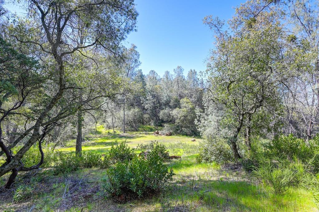 Detail Gallery Image 23 of 55 For 0 40 Acres - Five Oaks Way, Greenwood,  CA 95635 - – Beds | – Baths