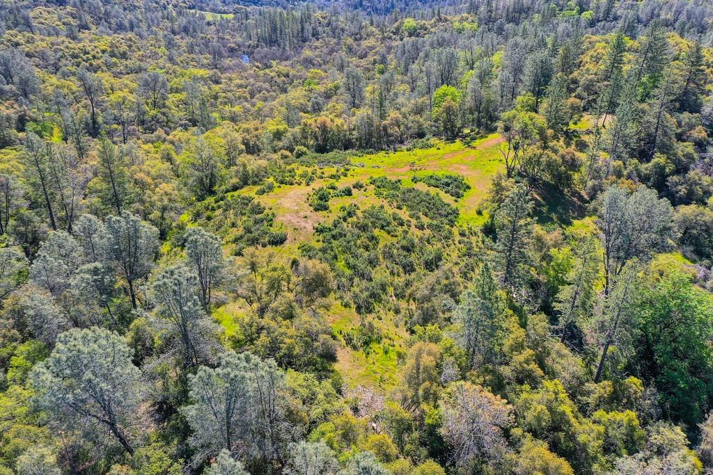 40 Acres - Five Oaks Way, Greenwood, California image 36