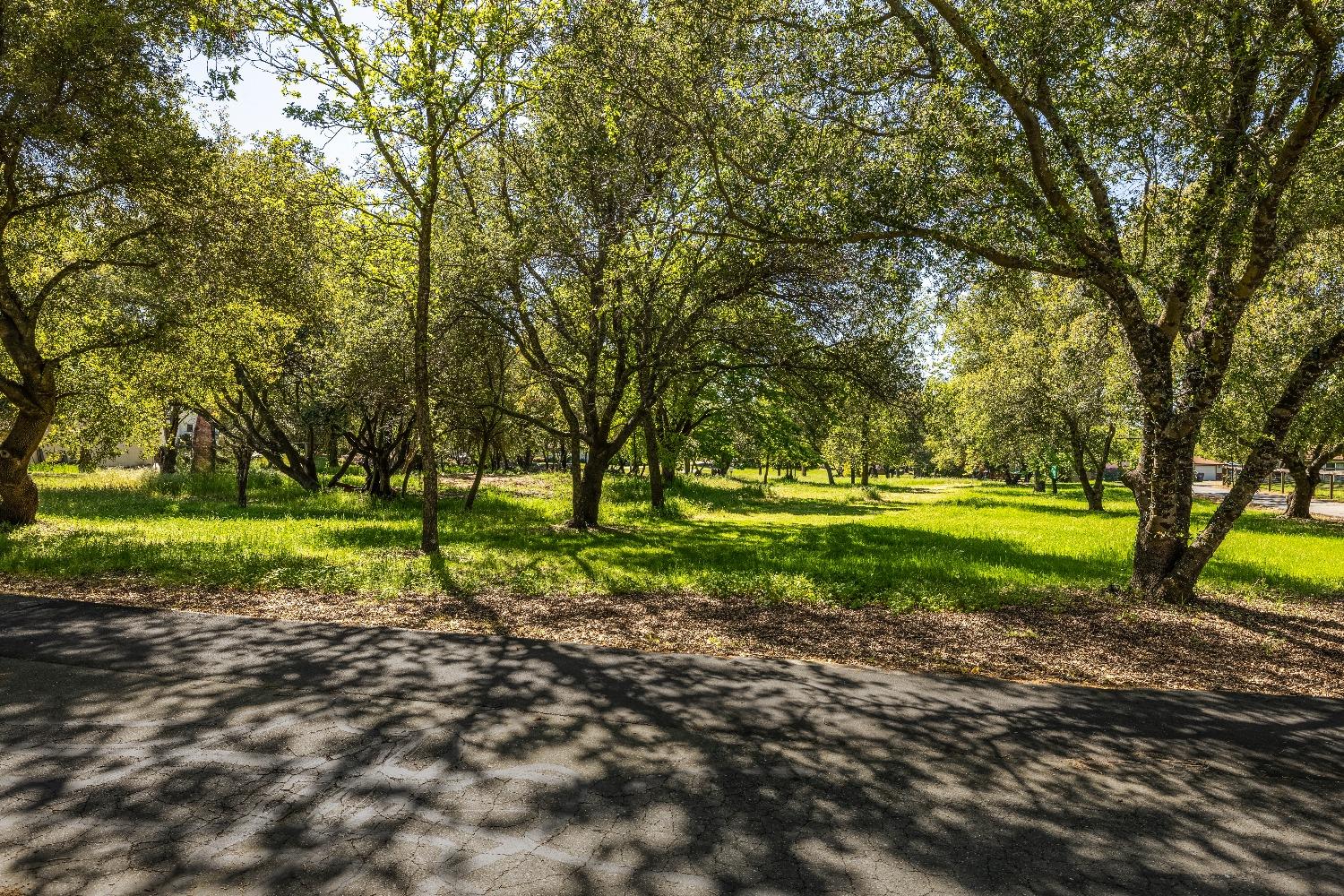 Laird Road, Loomis, California image 5