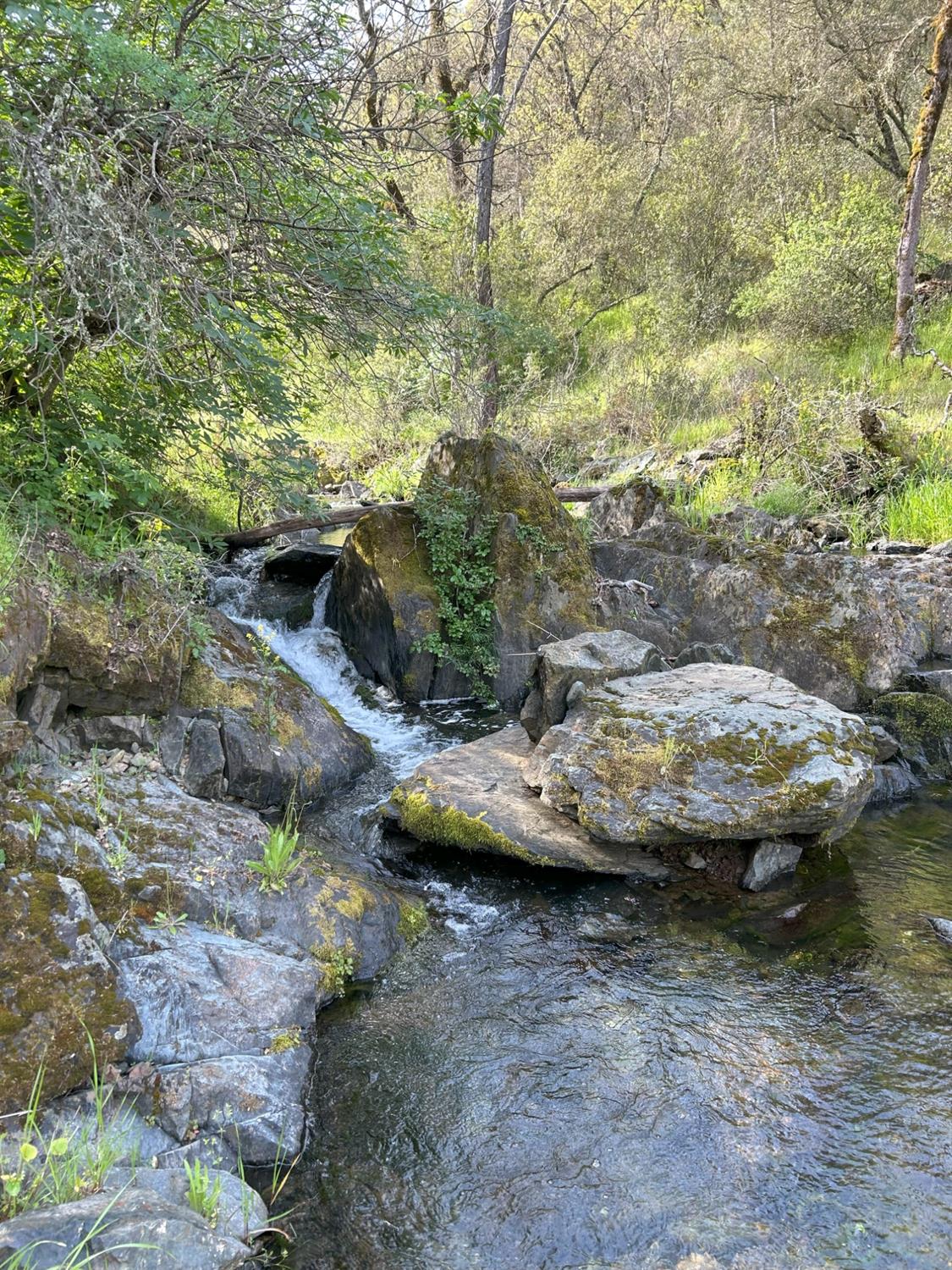 Summer Creek Court, Shingle Springs, California image 19