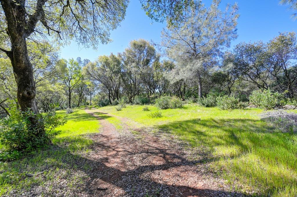 40 Acres - Five Oaks Way, Greenwood, California image 15