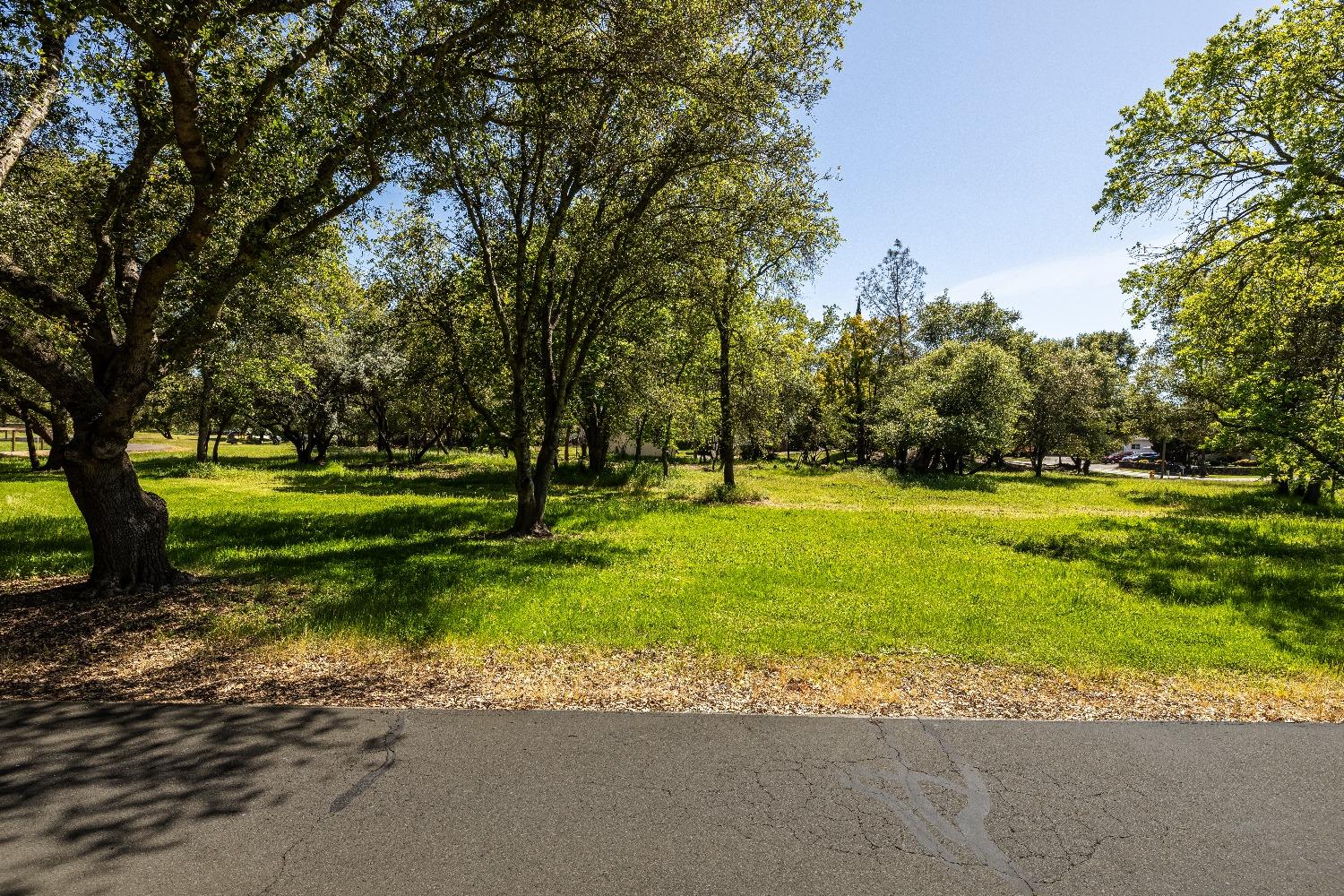 Laird Road, Loomis, California image 6