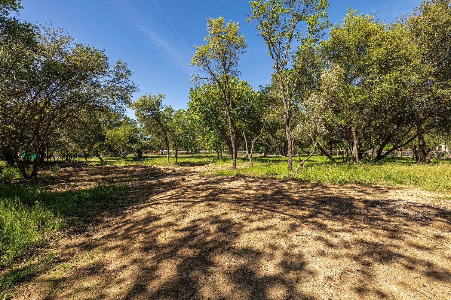 Laird Road, Loomis, California image 9