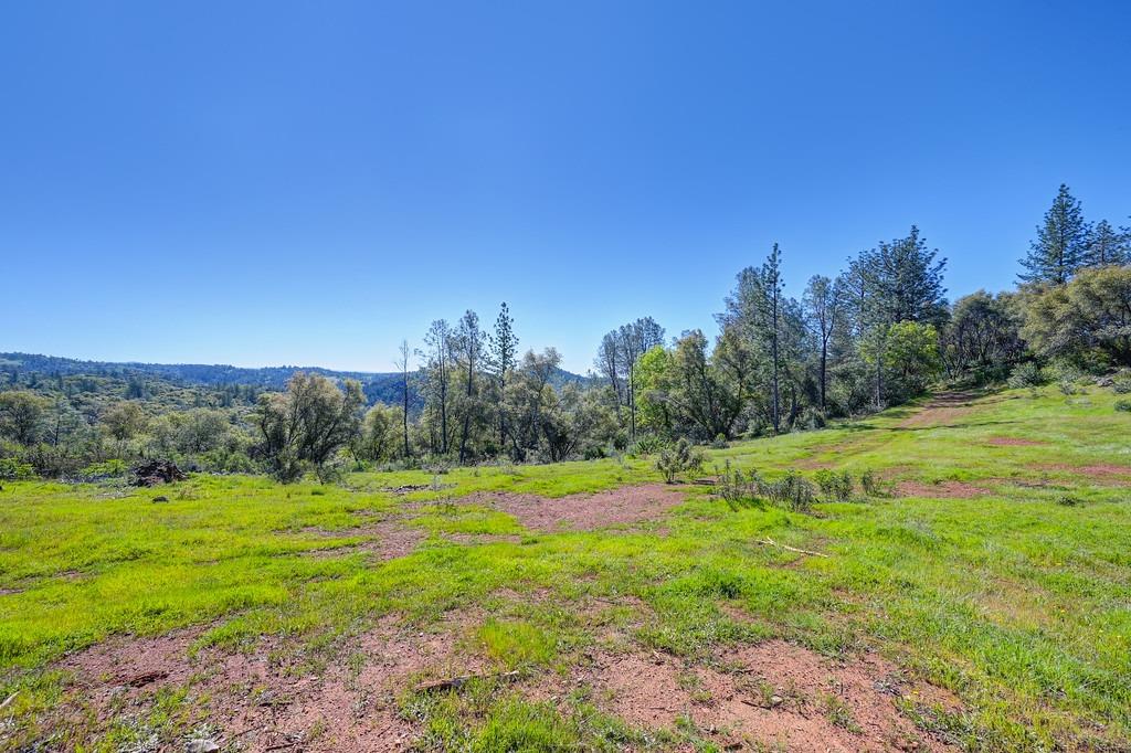 40 Acres - Five Oaks Way, Greenwood, California image 18