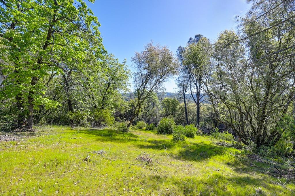 40 Acres - Five Oaks Way, Greenwood, California image 14