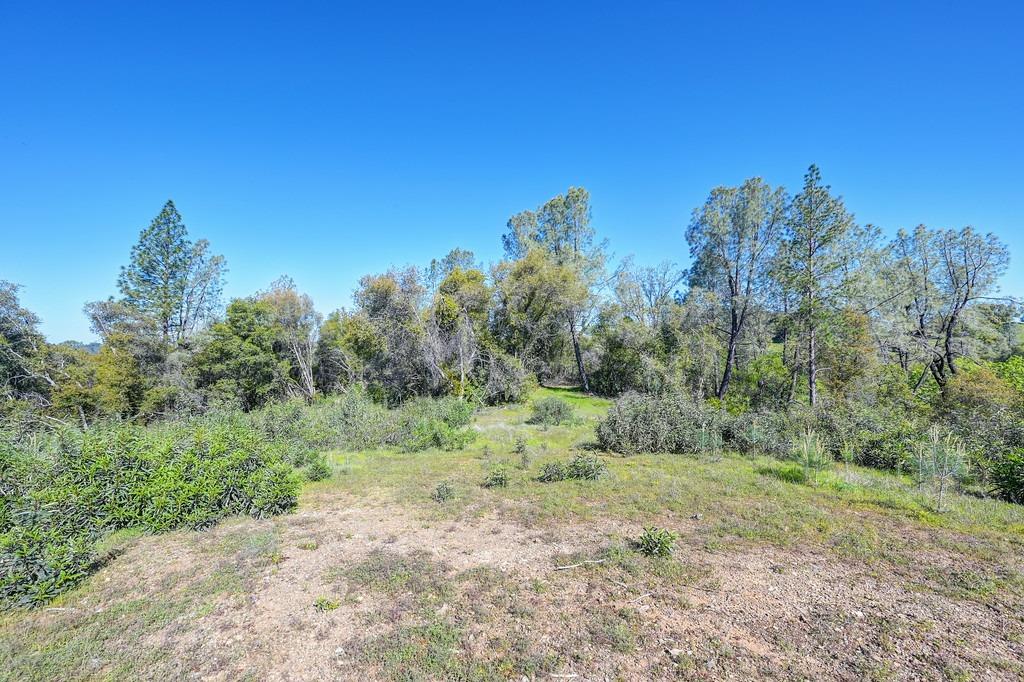 40 Acres - Five Oaks Way, Greenwood, California image 9