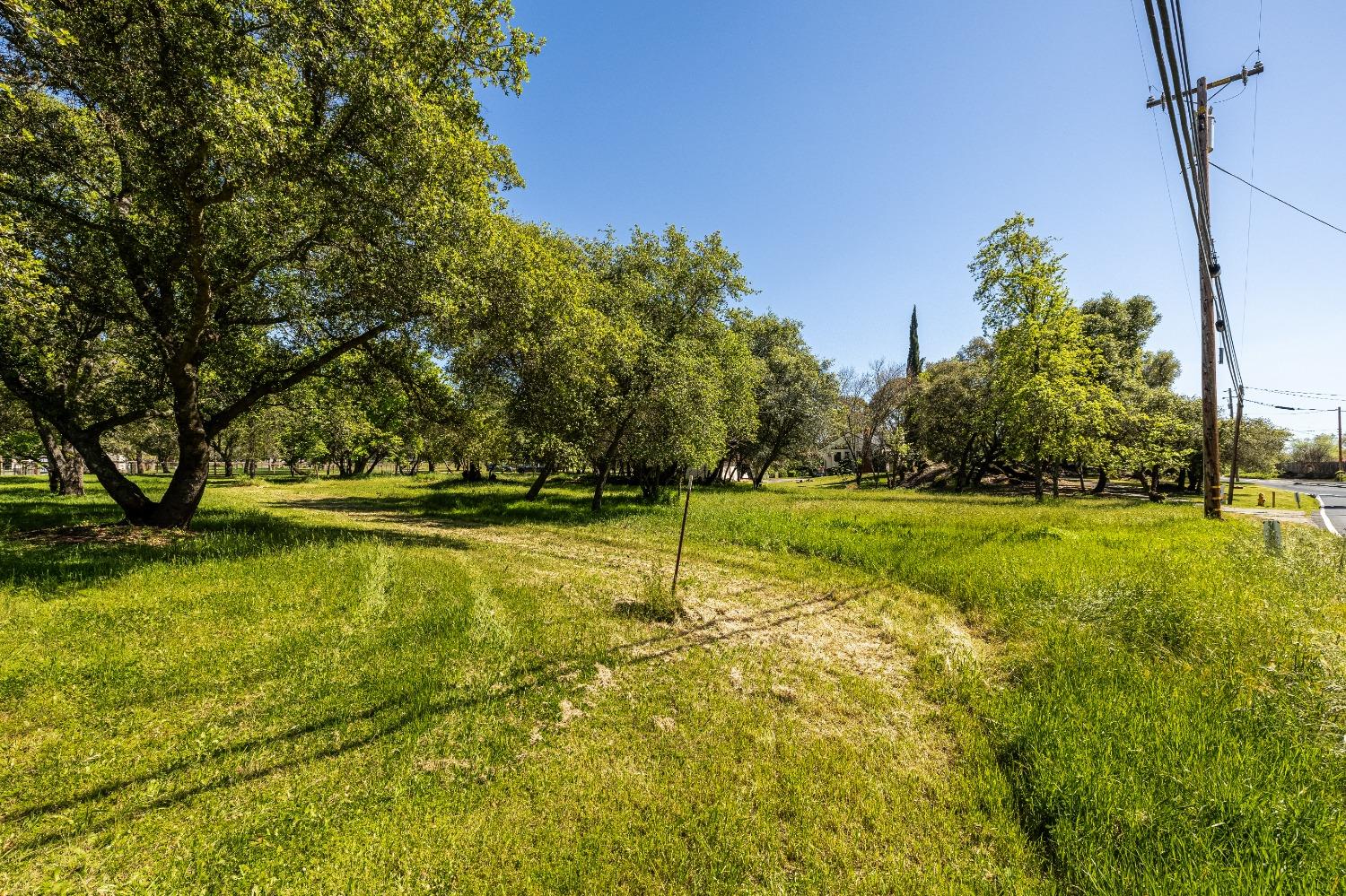 Laird Road, Loomis, California image 8