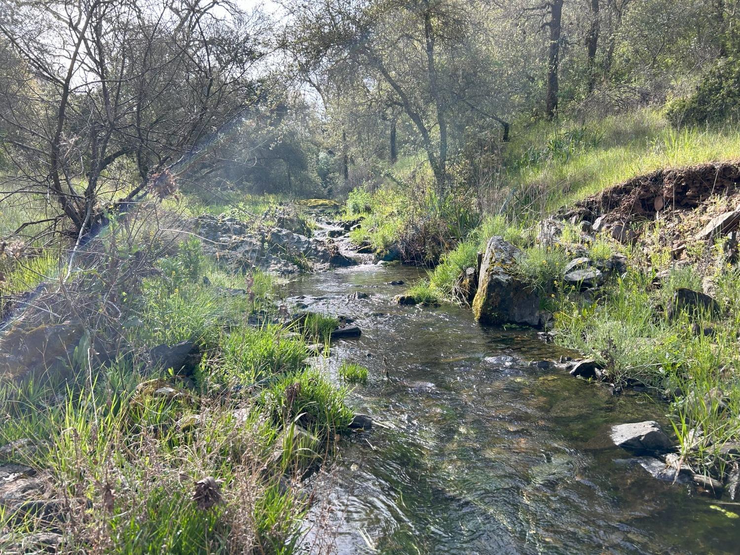 Summer Creek Court, Shingle Springs, California image 2