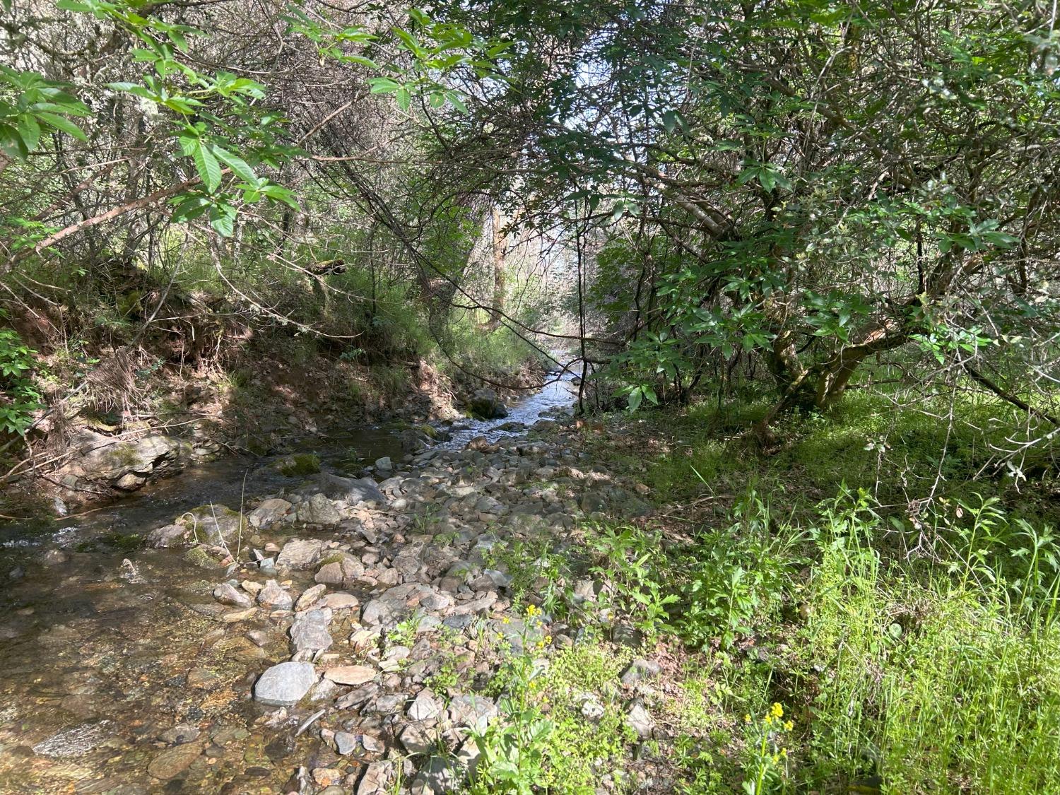 Summer Creek Court, Shingle Springs, California image 18