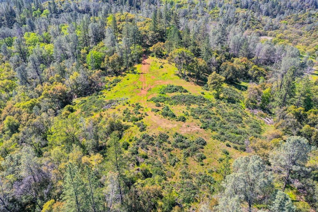 40 Acres - Five Oaks Way, Greenwood, California image 37