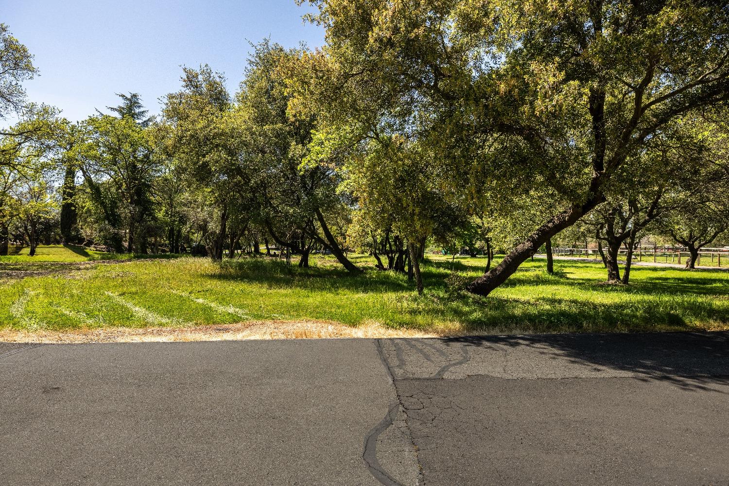 Laird Road, Loomis, California image 7