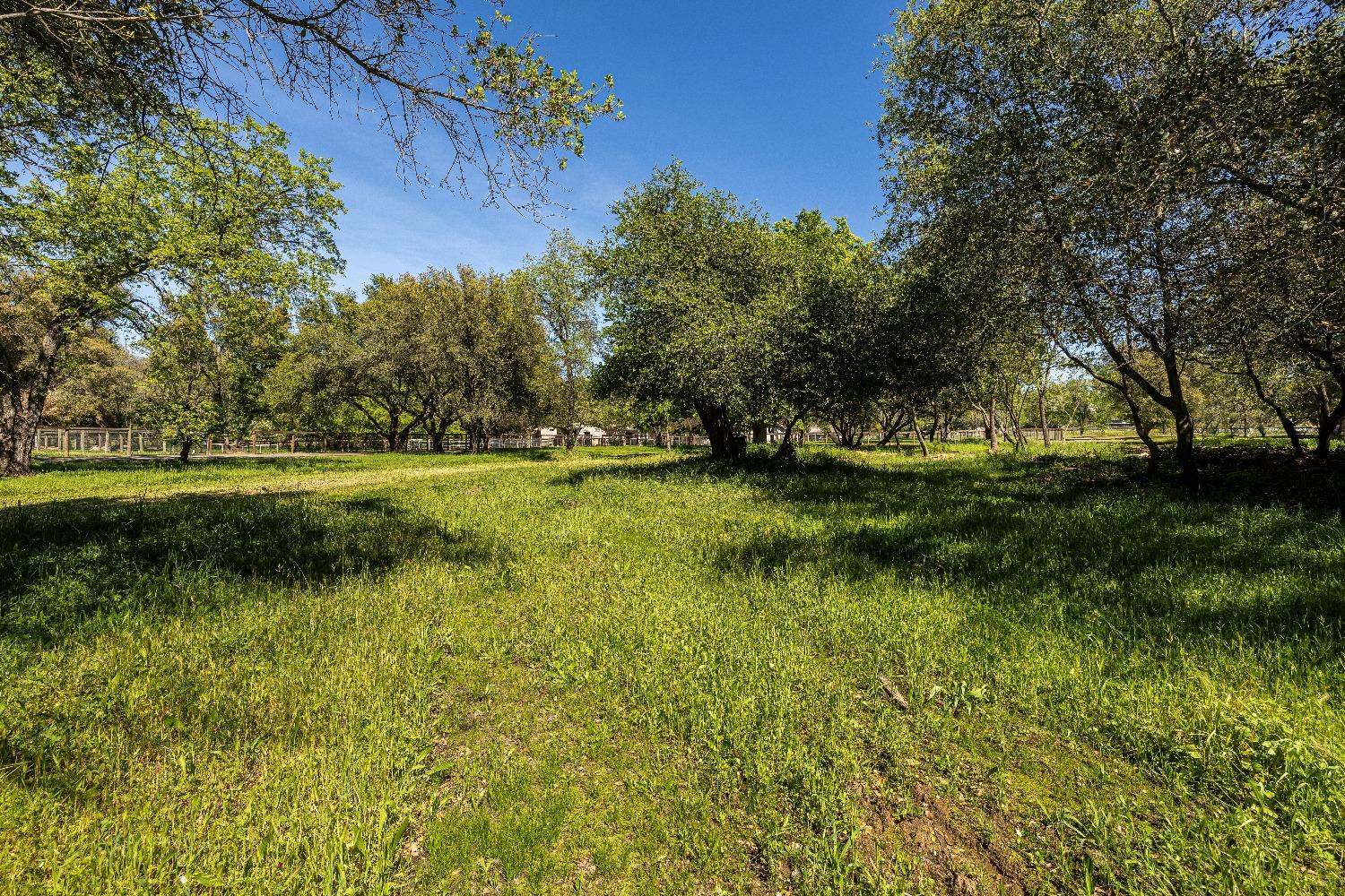 Laird Road, Loomis, California image 4