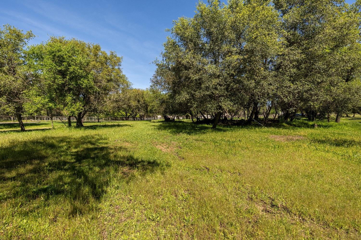 Laird Road, Loomis, California image 3