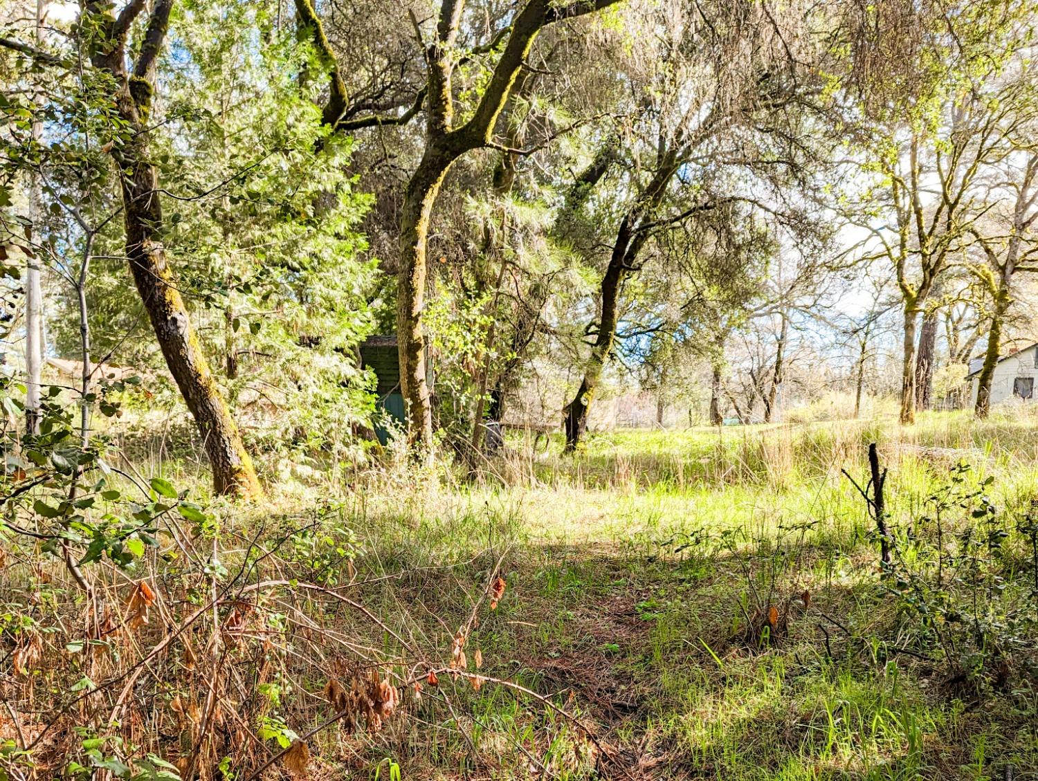 Beckville Road, Nevada City, California image 7