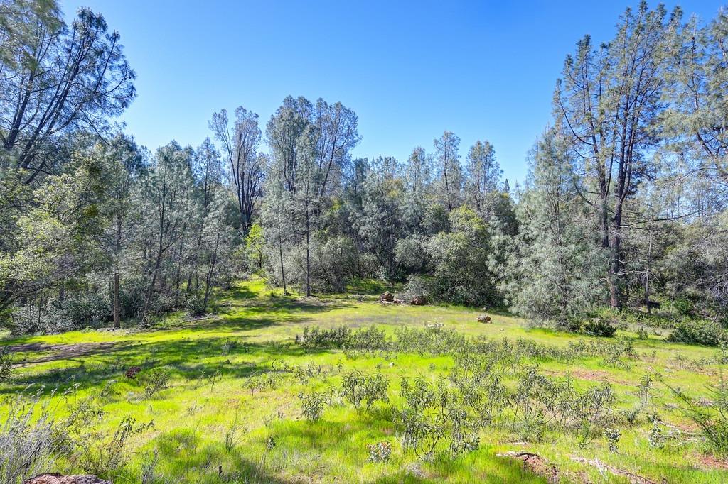 Detail Gallery Image 24 of 55 For 0 40 Acres - Five Oaks Way, Greenwood,  CA 95635 - – Beds | – Baths