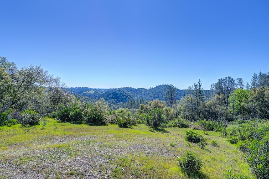 40 Acres - Five Oaks Way, Greenwood, California image 11