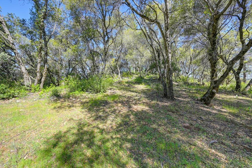 40 Acres - Five Oaks Way, Greenwood, California image 22