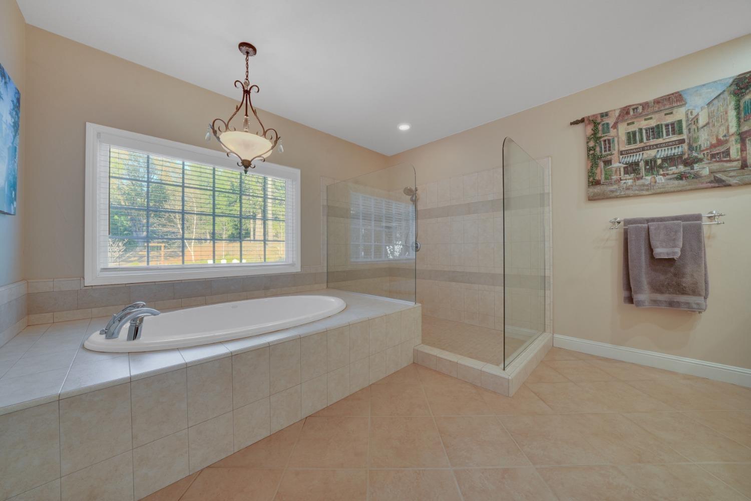 Detail Gallery Image 73 of 96 For 26240 Sugar Pine Dr, Pioneer,  CA 95666 - 4 Beds | 4/1 Baths
