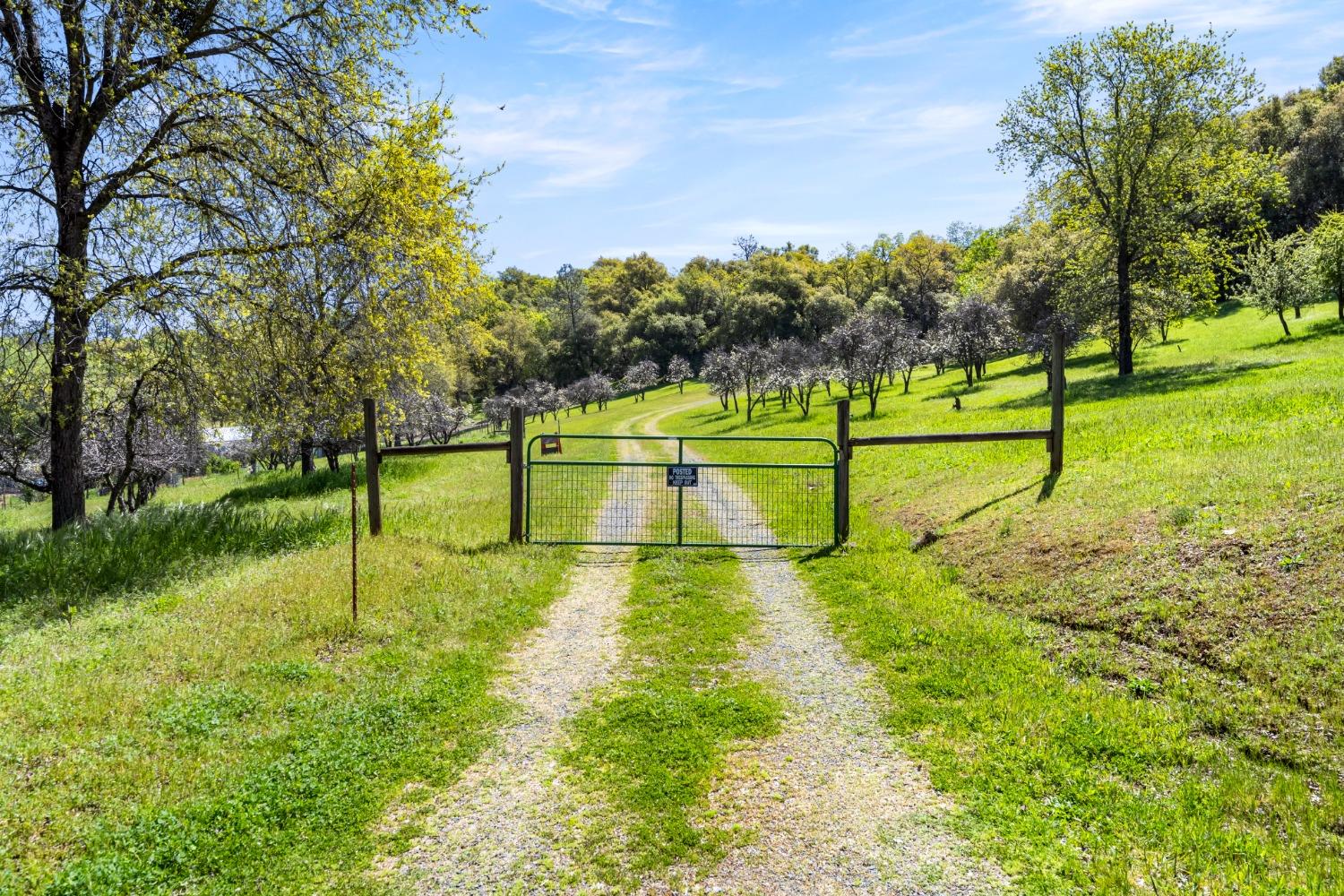 Gray Pine Way, Auburn, California image 39