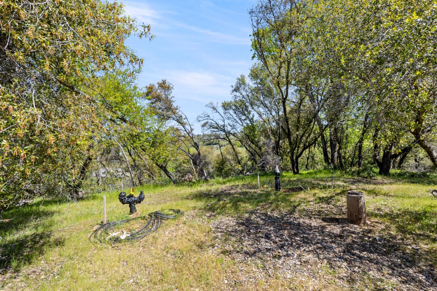 Gray Pine Way, Auburn, California image 24