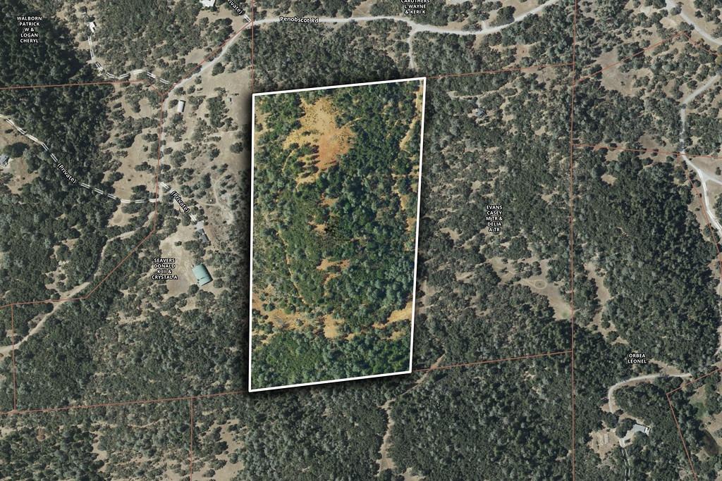 40 Acres - Five Oaks Way, Greenwood, California image 42