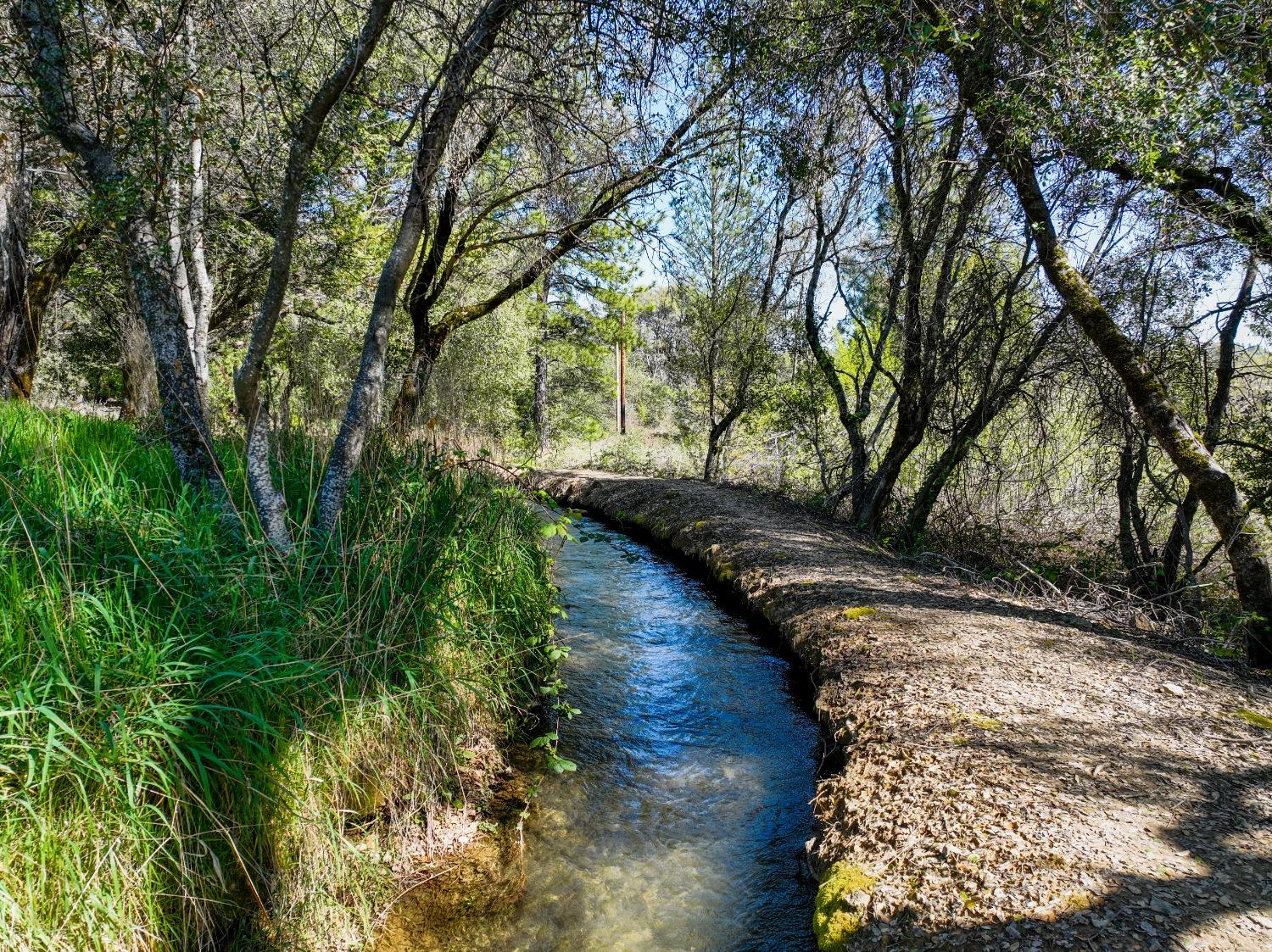 Newtown Road, Nevada City, California image 12